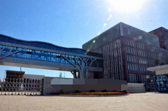 國(guó)外某石化化工集團(tuán)大門