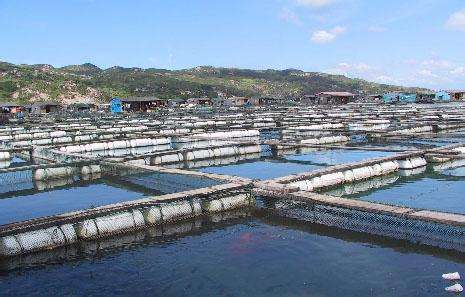 德瑞亞空壓機(jī)在連云港生物工程行業(yè)的應(yīng)用