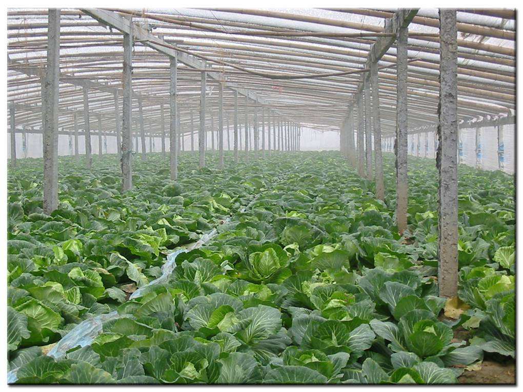 德瑞亞空壓機(jī)助力食品加工，節(jié)能無(wú)止盡